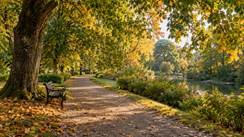 Парки