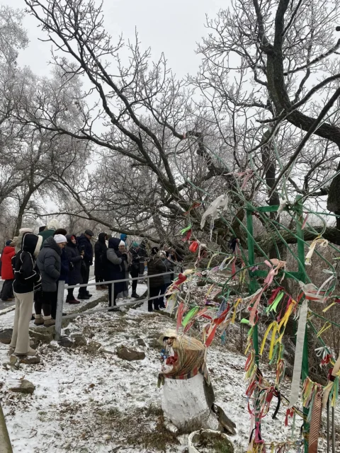 Новогодняя Дубовка с дегустацией у Гусевых