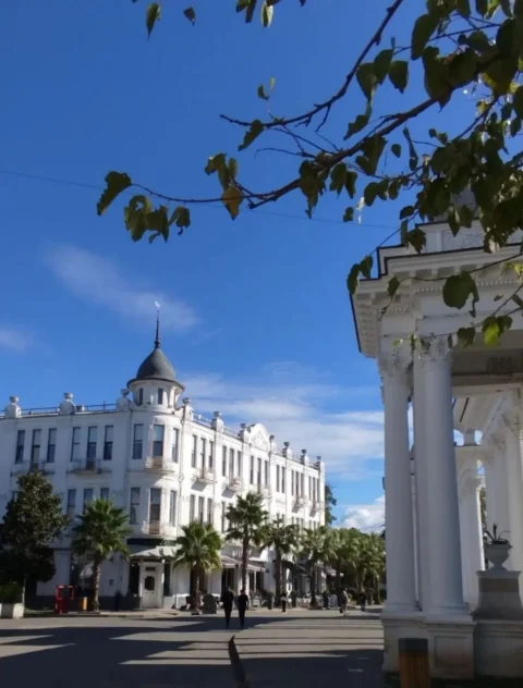 Мандариновая Абхазия из Волгограда — море, горы и Новый Афон