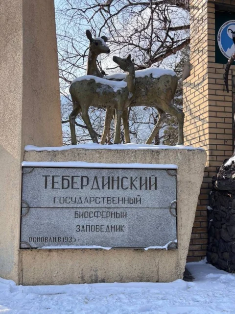 Новогодний Домбай — зимнее путешествие в горы