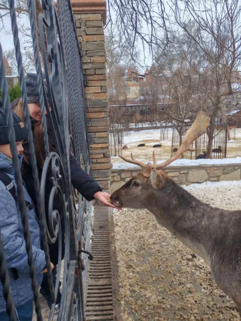 Новогодний Парк Лога