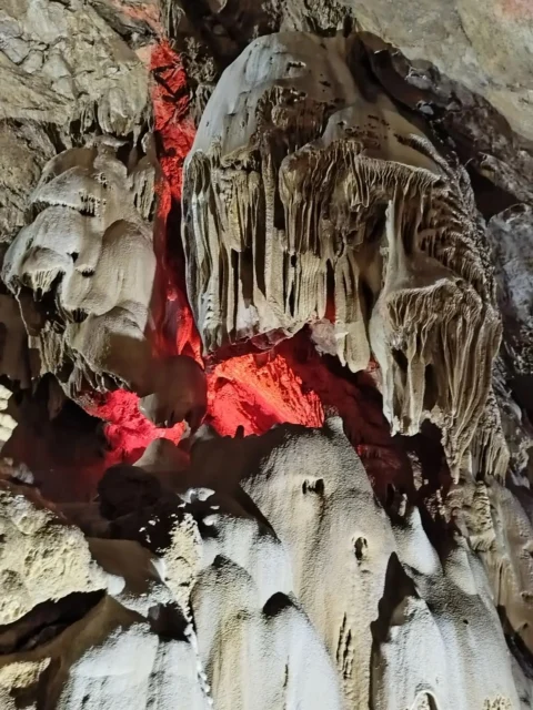 Мандариновая Абхазия из Волгограда — море, горы и Новый Афон
