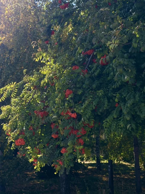 Монастыри и меловые пещеры Ольховки