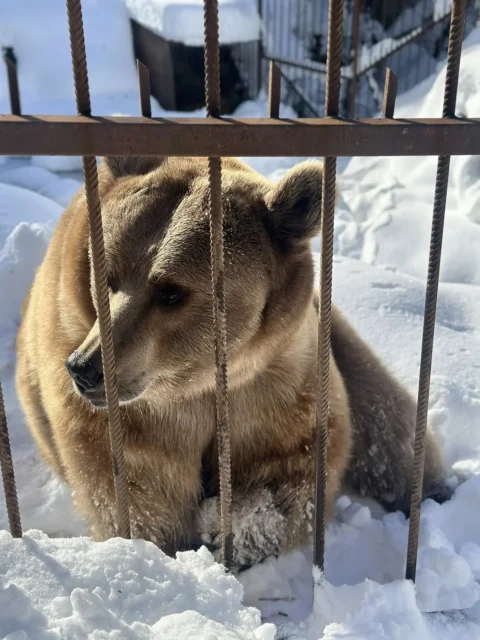 Адыгея за один день Горы, пещеры и горячие источники на январских праздниках