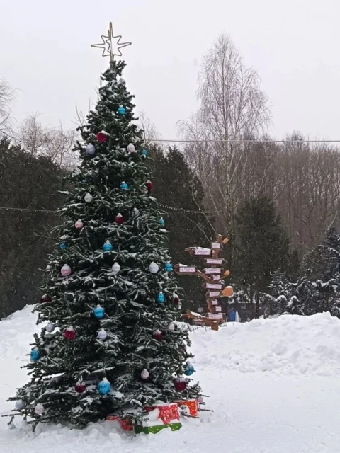 Новогодний Минск. Замки, история и белорусские традиции