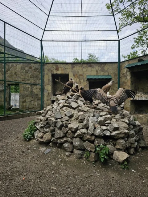 Домбай и Архыз: осенние склоны, панорамы и термальные источники
