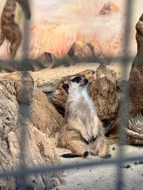 Осенний Парк Лога