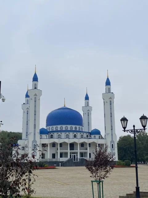 Майкоп